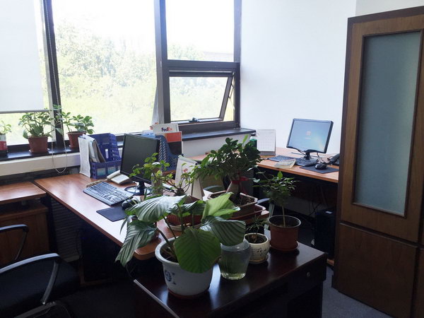 办公环境-办公室2